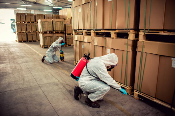 Trusted Marysville, WA Pest Control Experts