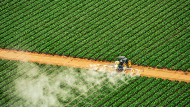 Best Commercial Pest Control Services  in Marysville, WA