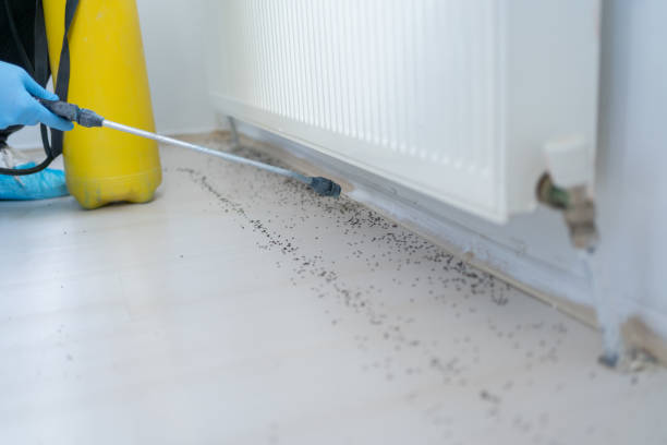 Best Best Pest Control Companies  in Marysville, WA